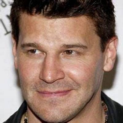 David Boreanaz Highlights | Famous Birthdays