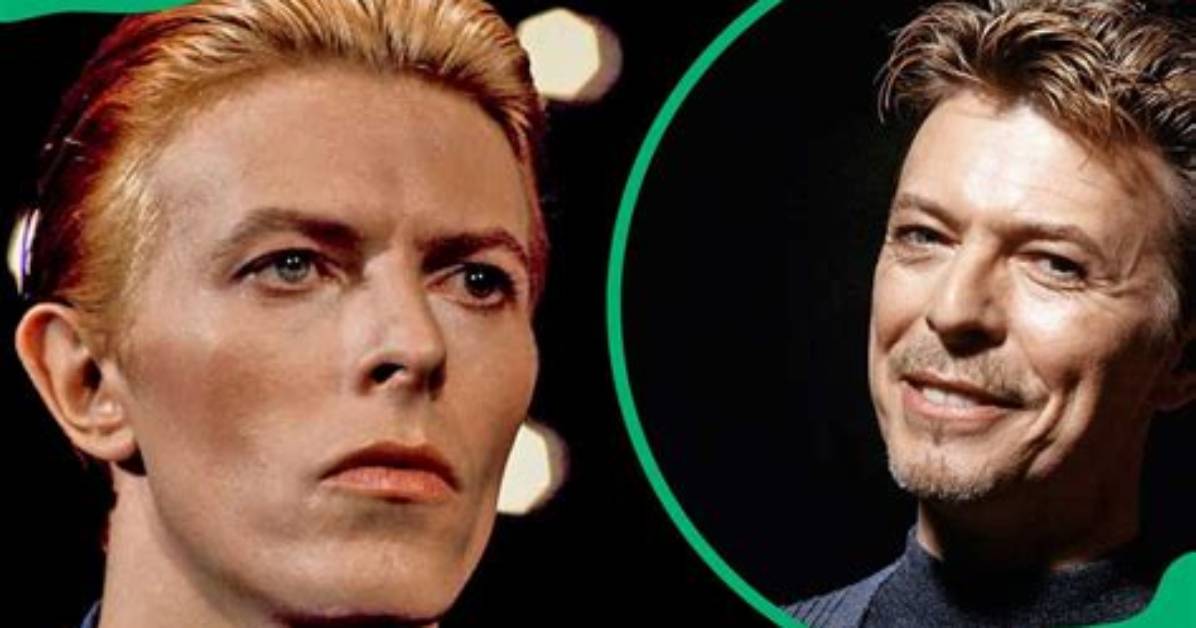 David Bowie Net Worth, Income and Estimated Earnings of Youtuber Channel