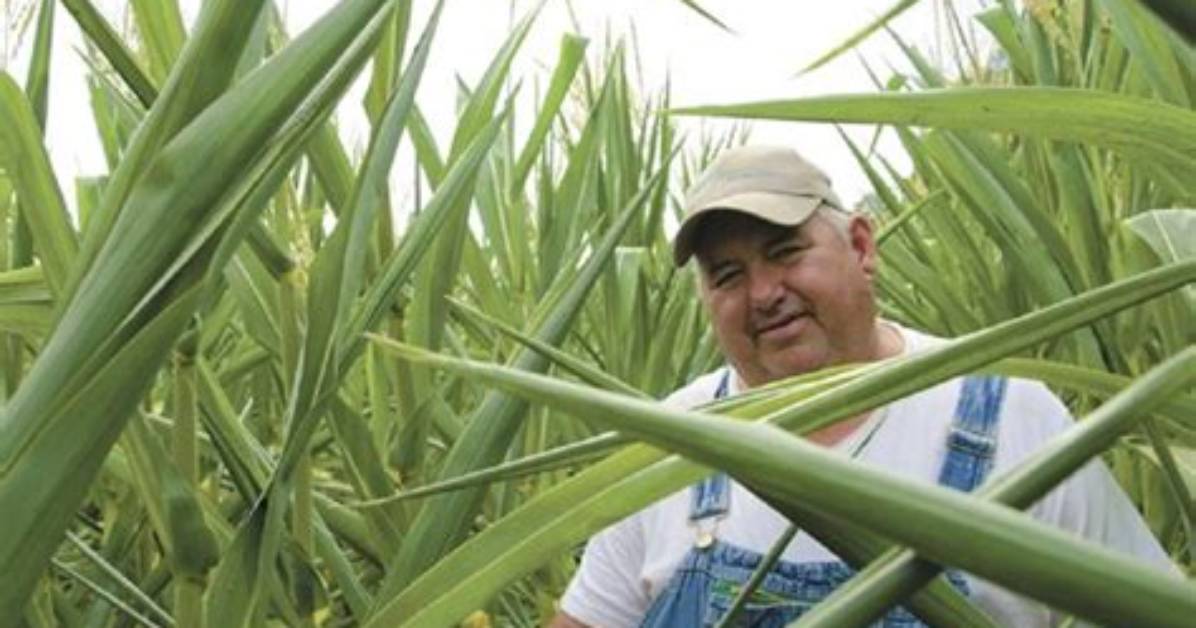 David Brandt Accident, Farmer’s Death News Age and Family