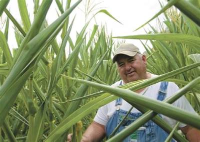 David Brandt Accident, Farmer’s Death News Age and Family