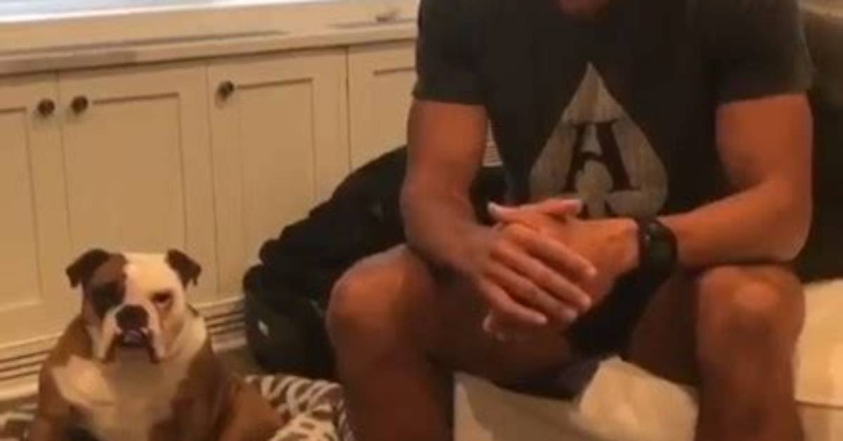 David Goggins Pets - Celebrity Pets