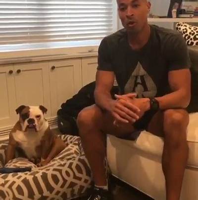 David Goggins Pets - Celebrity Pets