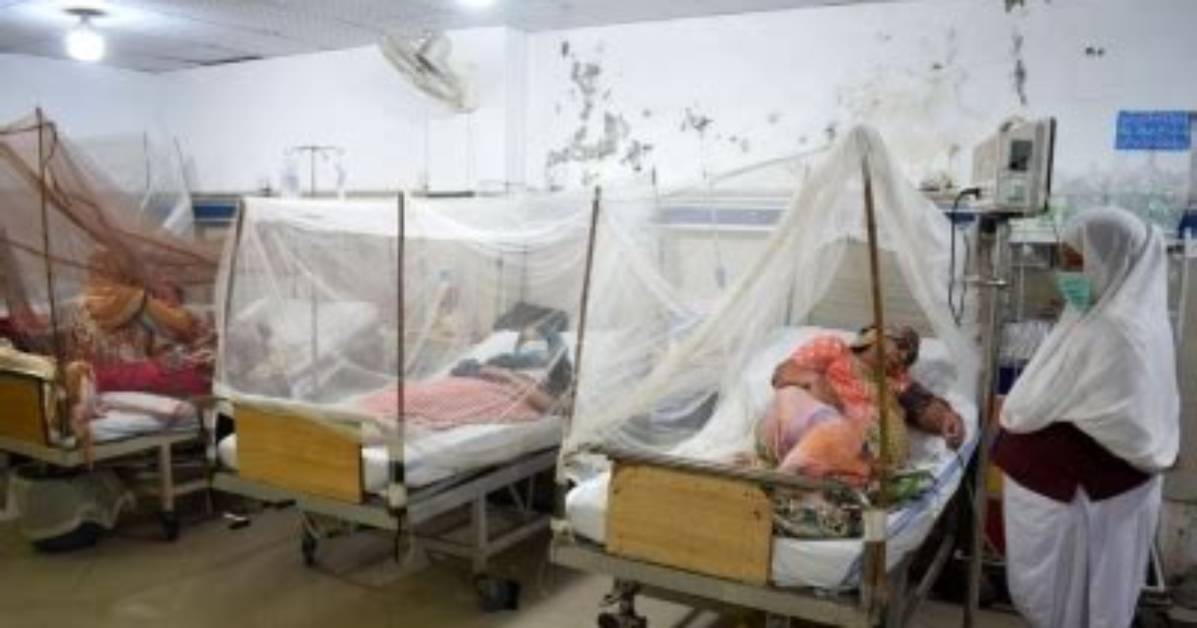 Dengue Spread in Pakistan Continues Unabated