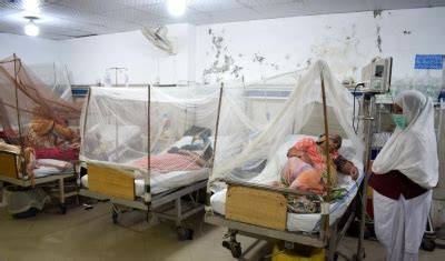 Dengue Spread in Pakistan Continues Unabated