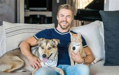 Derek Luh Pets - Celebrity Pets