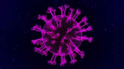 Did Fearless Die of Coronavirus?