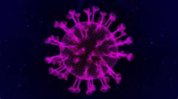 Did Fearless Die of Coronavirus?