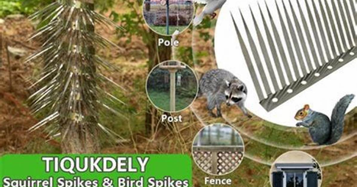 Do Bird Spikes Work for Squirrels?