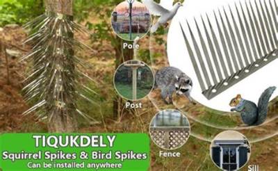 Do Bird Spikes Work for Squirrels?