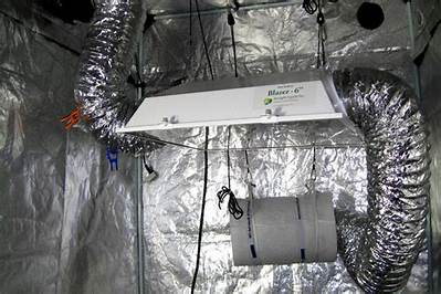 Do Grow Boxes Smell?