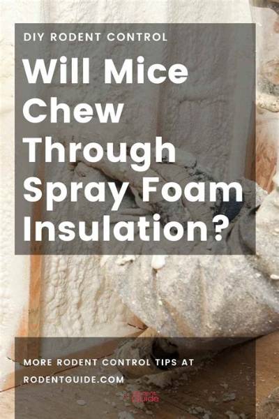 Do Roaches Eat Spray Foam Insulation?