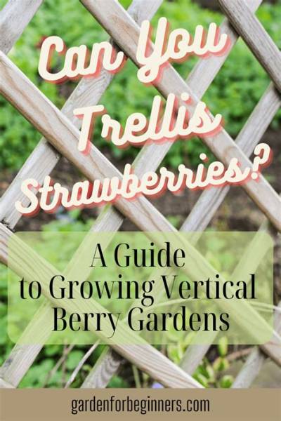 Do Strawberries Need to Climb?