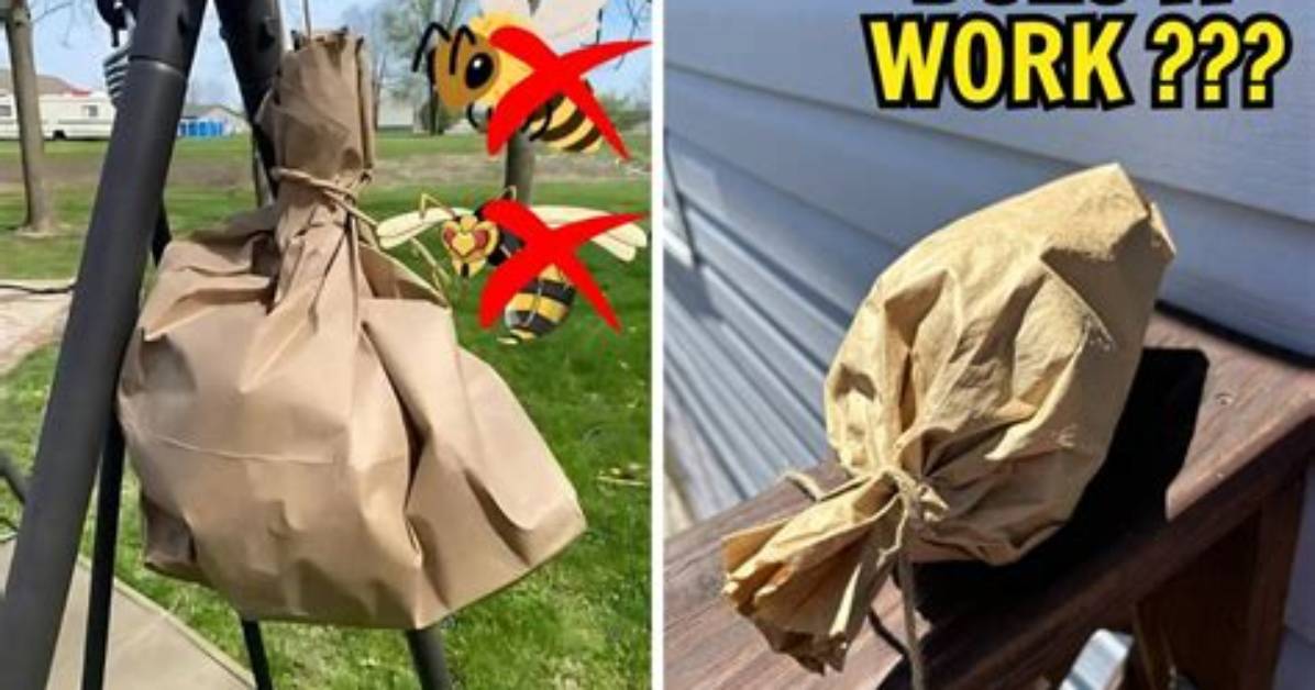Does a Brown Paper Bag Keep Bees Away?