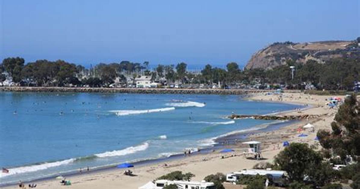Does Doheny State Beach Have Fire Pits?