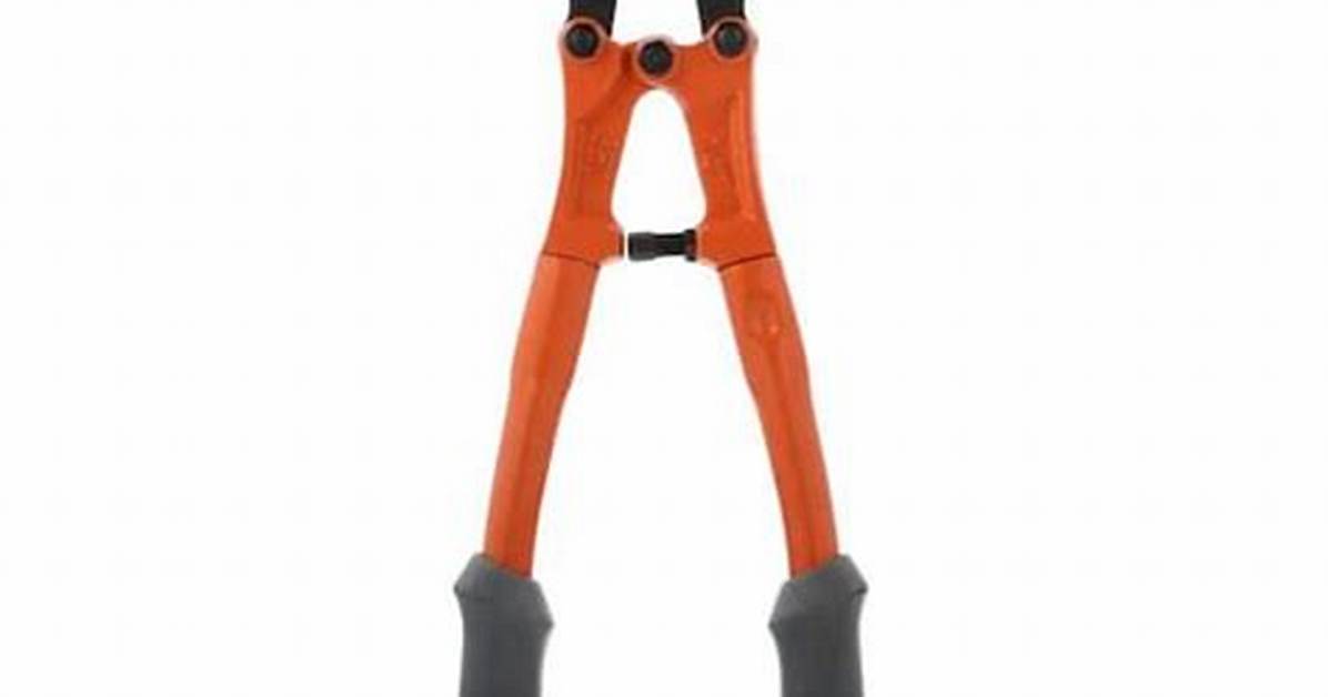 Does Home Depot Rent Bolt Cutters?