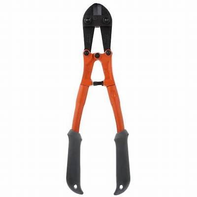 Does Home Depot Rent Bolt Cutters?