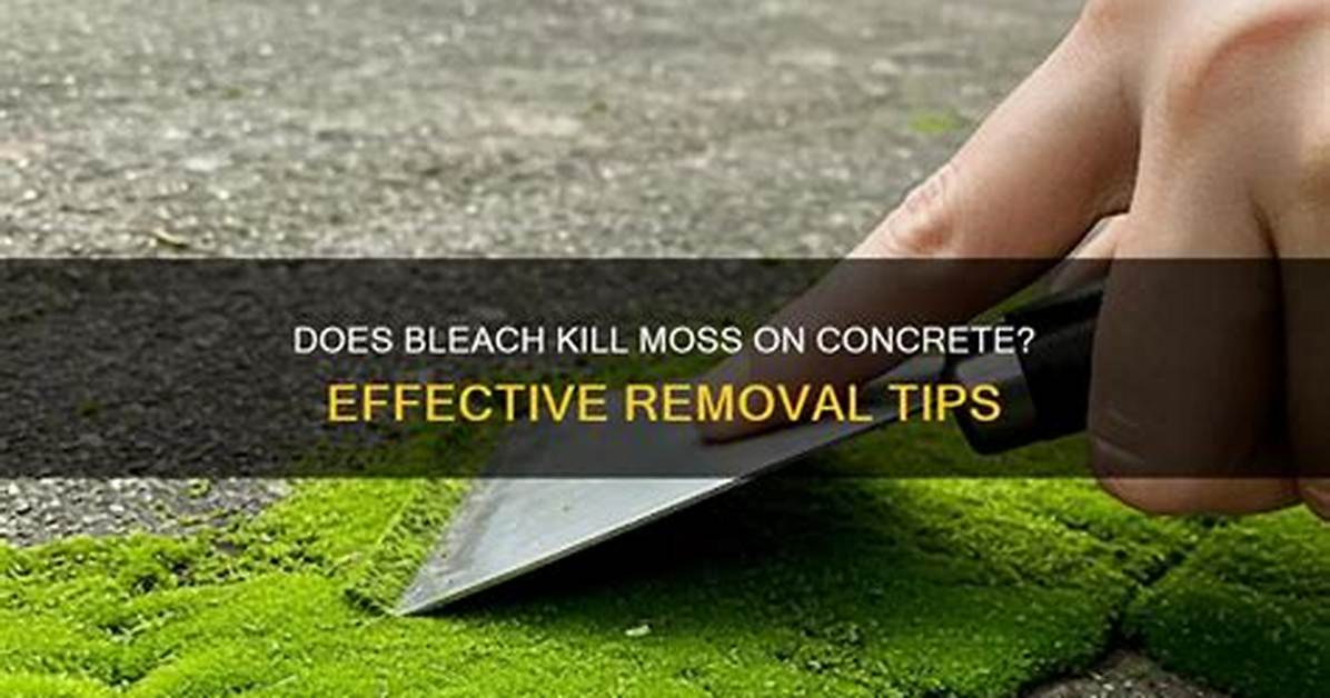 Does Jomax Kill Moss?