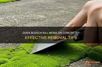 Does Jomax Kill Moss?
