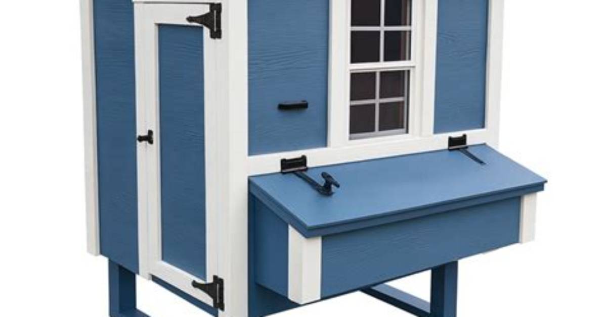 Does Lowe’s Have Chicken Coops?
