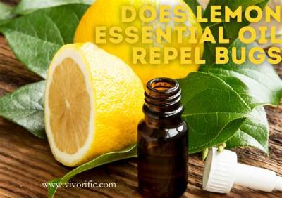 Does Orange Oil Repel Bugs?