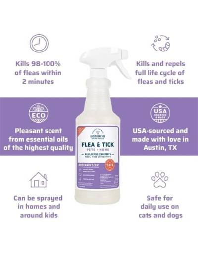Does Rosemary Keep Fleas and Ticks Away?