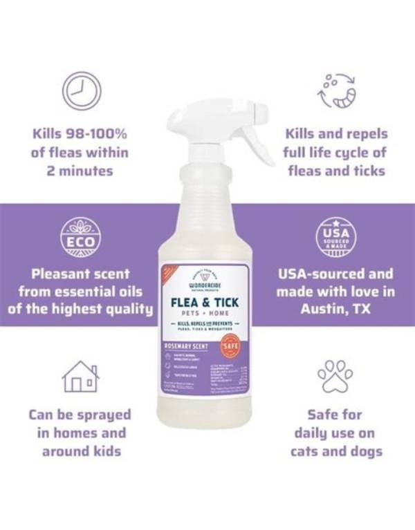 Does Rosemary Keep Fleas and Ticks Away?