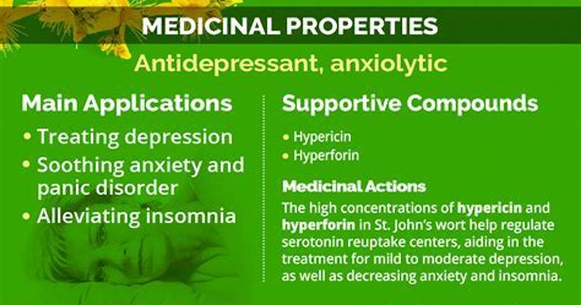 Does St John’s Wort Increase Estrogen?