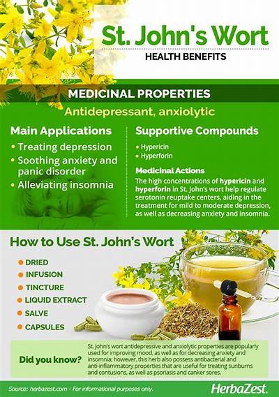 Does St John’s Wort Increase Estrogen?