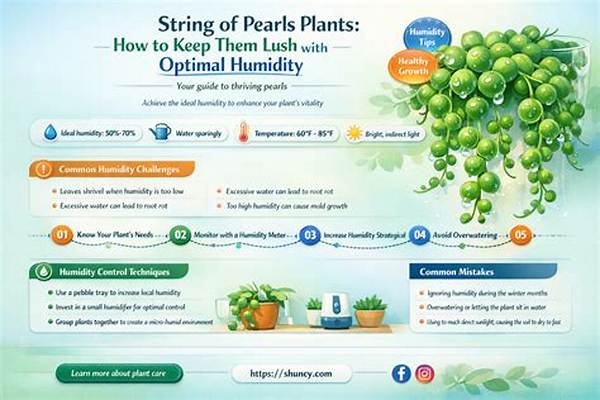 Does String of Pearls Like Humidity?