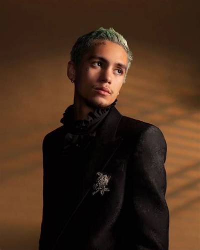 Dominic Fike Bio (Wiki)