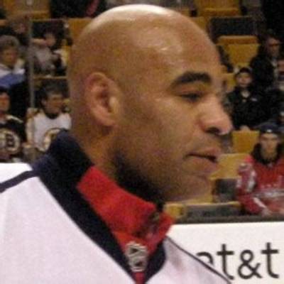 Donald Brashear (Nhl) Net Worth - Wiki, Age, Weight and Height, Relationships, Family, and More