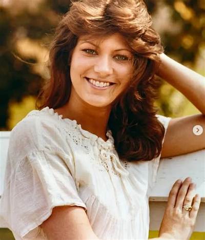 Donna Hay Height, Weight, Net Worth, Age, Birthday, Wikipedia, Who, Instagram, Biography