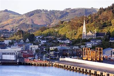 Dunedin Shore Excursions & Cruise Excursions