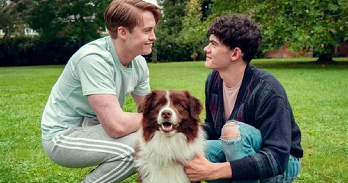 Echo on Netflix’s Heartstopper Portrays the Dog Nellie & He Is the Actual Breakout Star of the Show