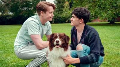 Echo on Netflix’s Heartstopper Portrays the Dog Nellie & He Is the Actual Breakout Star of the Show