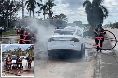 Electric Vehicles Catching Fire in Florida After Hurricane Ian