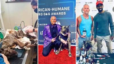 Ethan Almighty: from Near Death, to American Humane Hero Dog Winner, to Whiskey Influencer