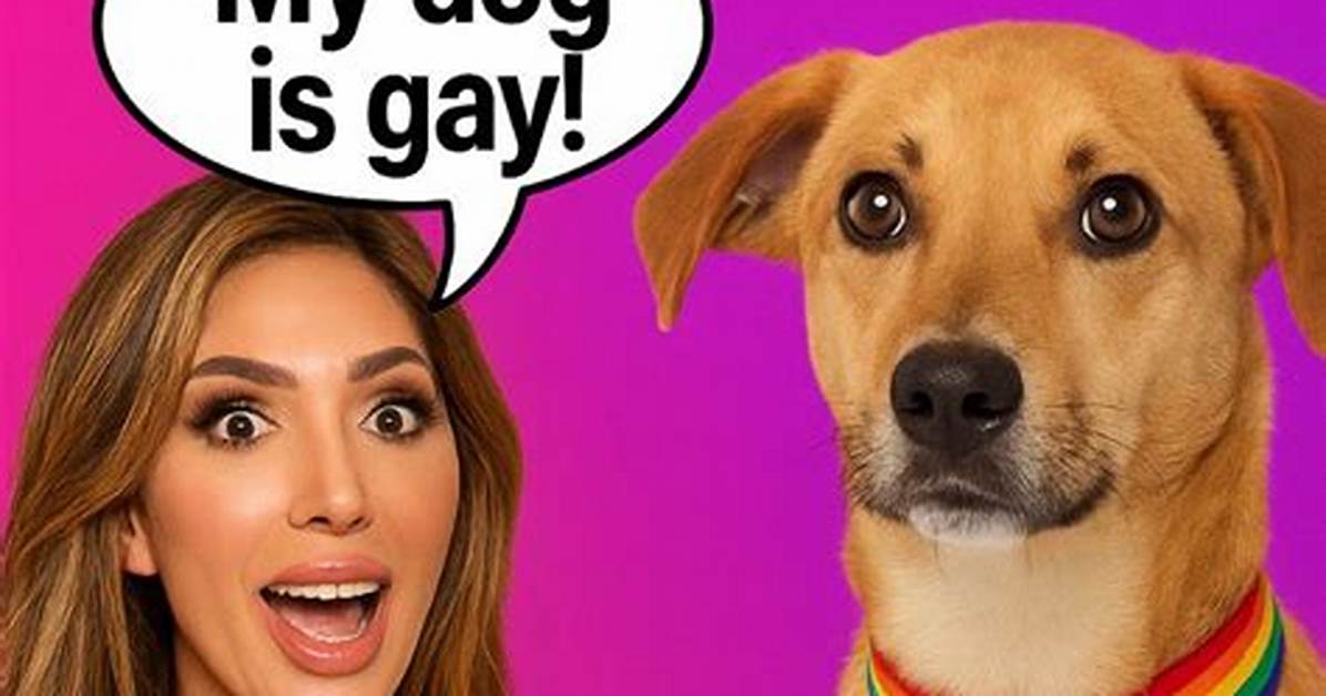 Farrah Abraham Claims Her Dog Is Gay
