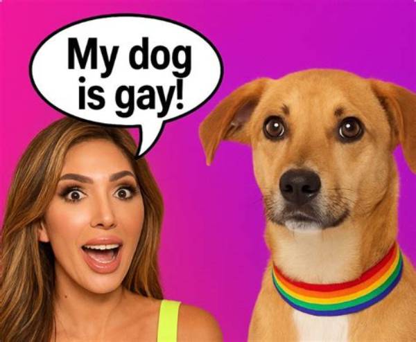 Farrah Abraham Claims Her Dog Is Gay