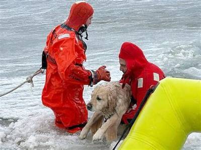 Firefighters Rescue Dog from Frozen River, Happy Ending for Family
