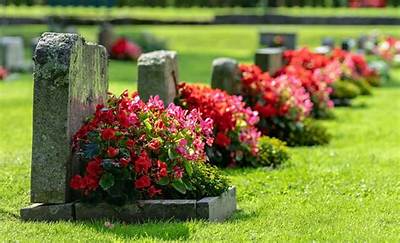Forest Hills Eastern Tessa Stanley Death and Obituary: Did Stagegr Student Killed in Accident?
