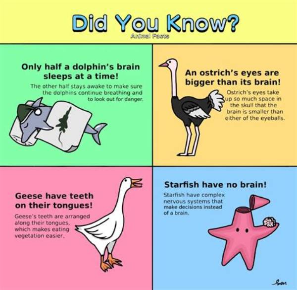 Fun Facts You Did Not Know About Kendall Jenner’s Best Friend Yung Taco!