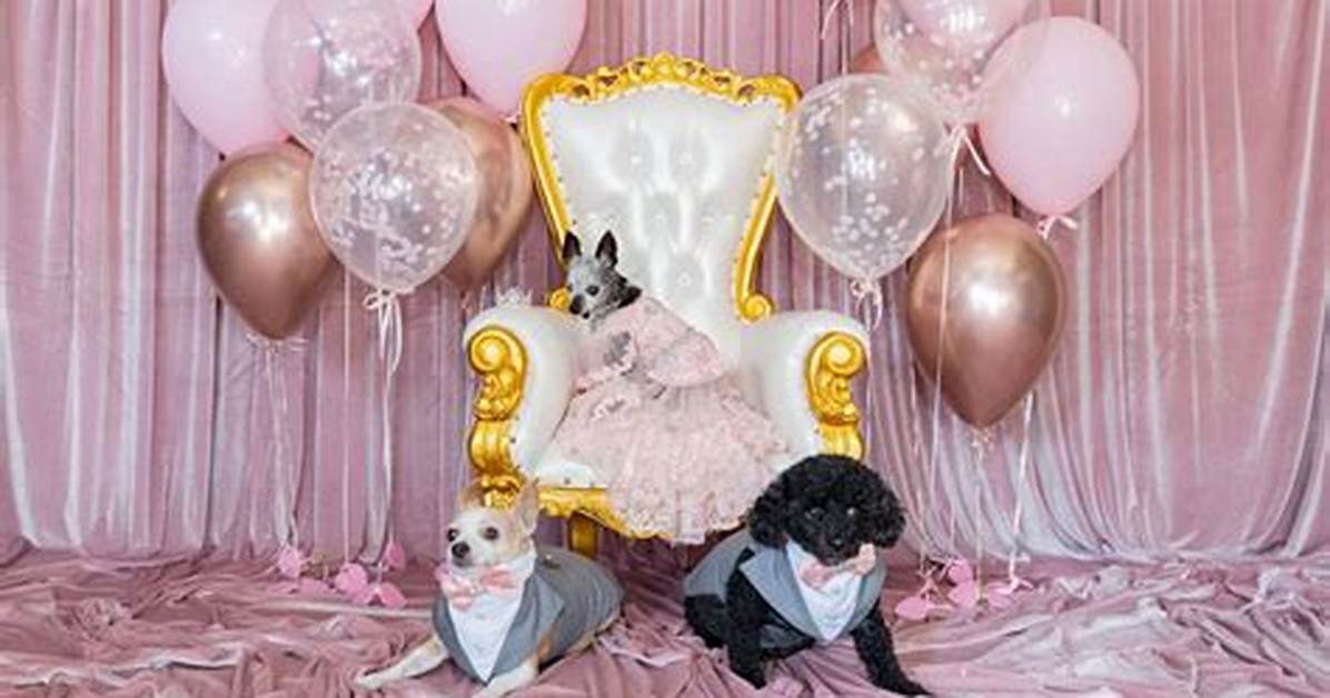 Gabriel Iglesias Had a $100K Quinceanera for His Chihuahua, ‘I’ve Never Had a Kid’