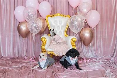 Gabriel Iglesias Had a $100K Quinceanera for His Chihuahua, ‘I’ve Never Had a Kid’