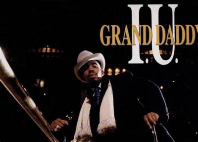 Grand Daddy I. U. a Well Known Rapper Passed Away at the Age of 54