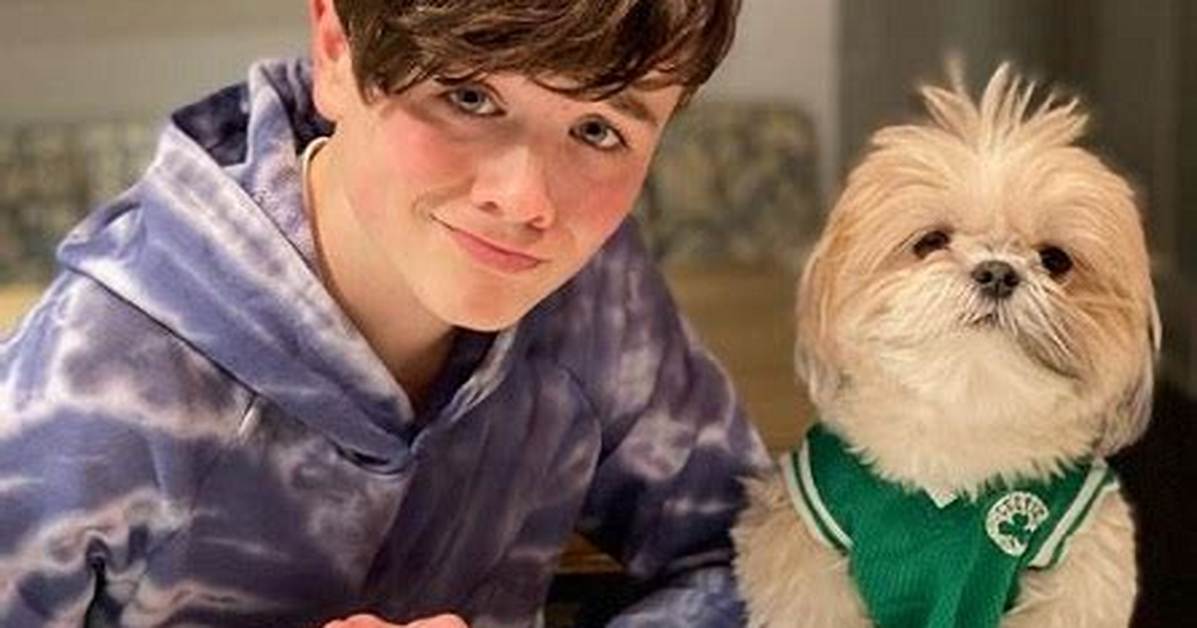 Griffin Mcintyre Bio (Wiki)