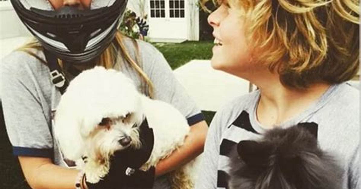 Gwyneth Paltrow Pets - Celebrity Pets