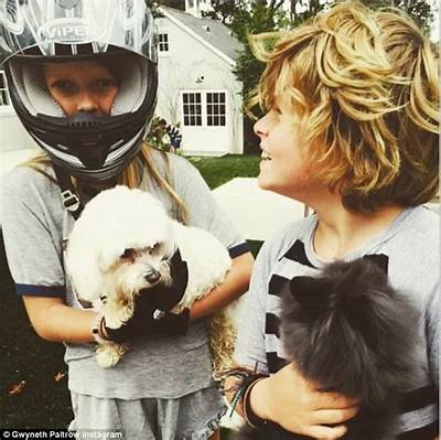 Gwyneth Paltrow Pets - Celebrity Pets