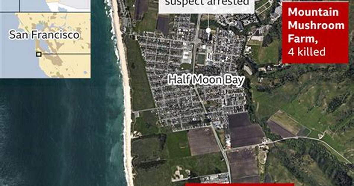 Half Moon Bay: Another Mass Shooting in California Leaves 7 Dead