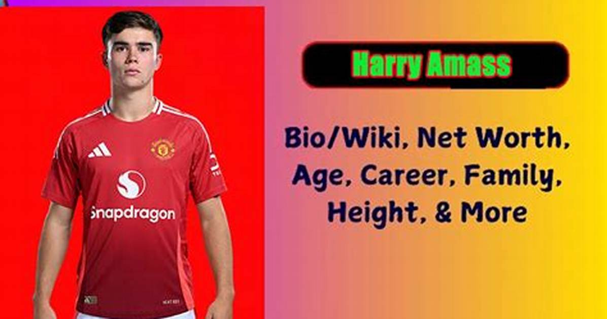 Harry Needs Height, Weight, Net Worth, Age, Birthday, Wikipedia, Who, Instagram, Biography